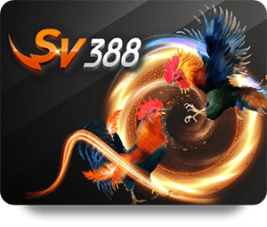 Kinh nghiệm chơi casino thưởng lớn dễ thắng lớn bạn nên biết